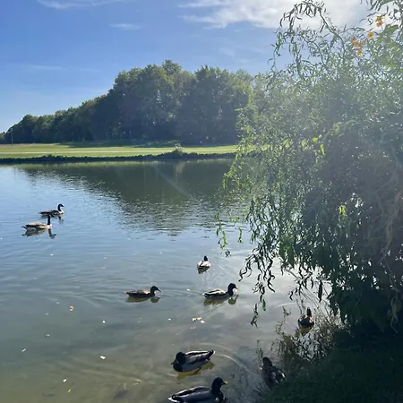 15 Qm Mit Gemeinschaftsbad * 뮌헨