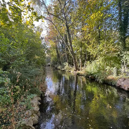 15 Qm Mit Gemeinschaftsbad 홈스테이