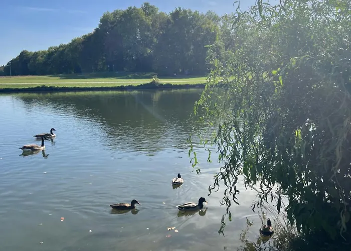 15 Qm Mit Gemeinschaftsbad * Münih