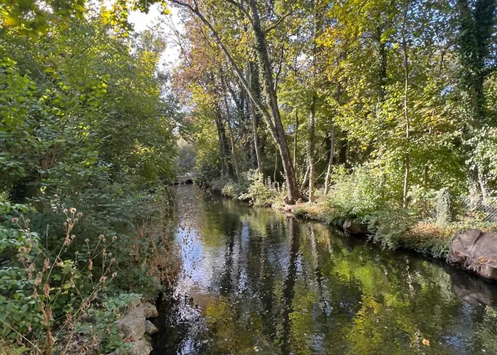 15 Qm Mit Gemeinschaftsbad ホームステイ